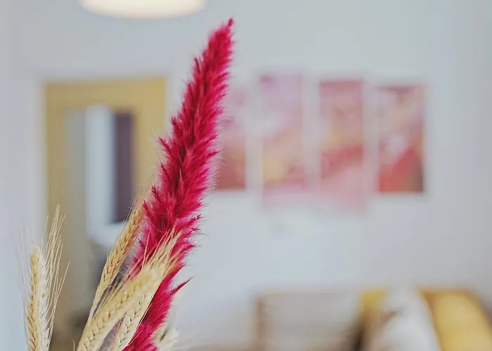 Spacious Family In Apartment Bamberg